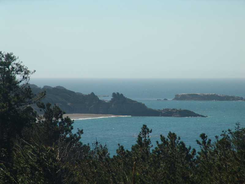 Listings Banana Belt Properties